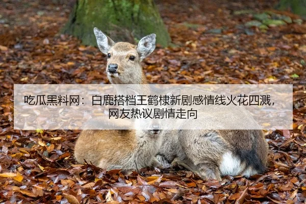 吃瓜黑料网：白鹿搭档王鹤棣新剧感情线火花四溅，网友热议剧情走向